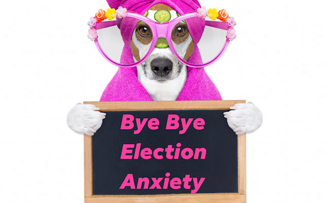 Does the Election have you Stressed out? Three Tips to Deal with Election Anxiety
