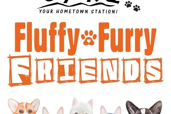 Fluffy, Furry Friends